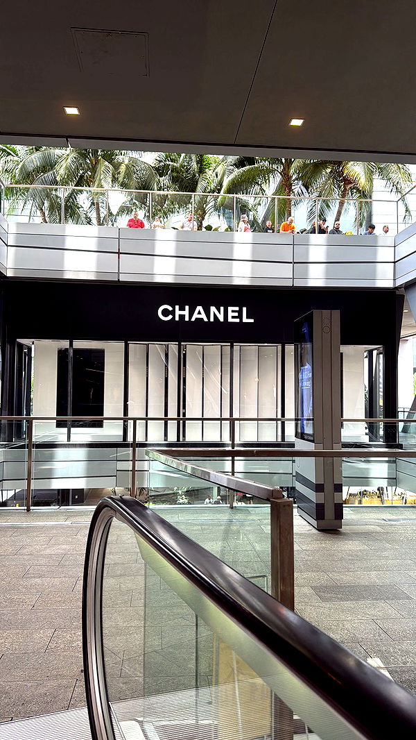 mckinley_1 image ~ Altpins