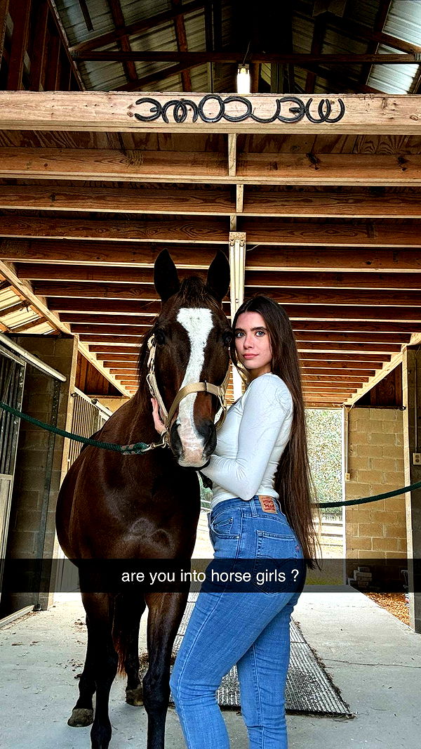 mckinley_1 image ~ Altpins