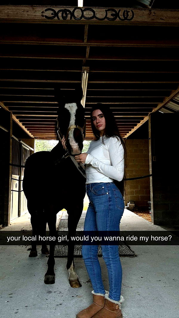 mckinley_1 image ~ Altpins