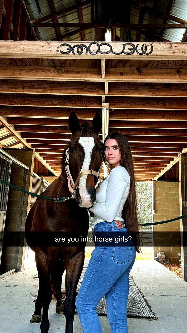 mckinley_1 image ~ Altpins