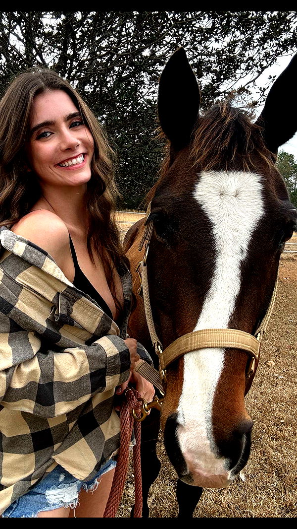 mckinley_1 image ~ Altpins