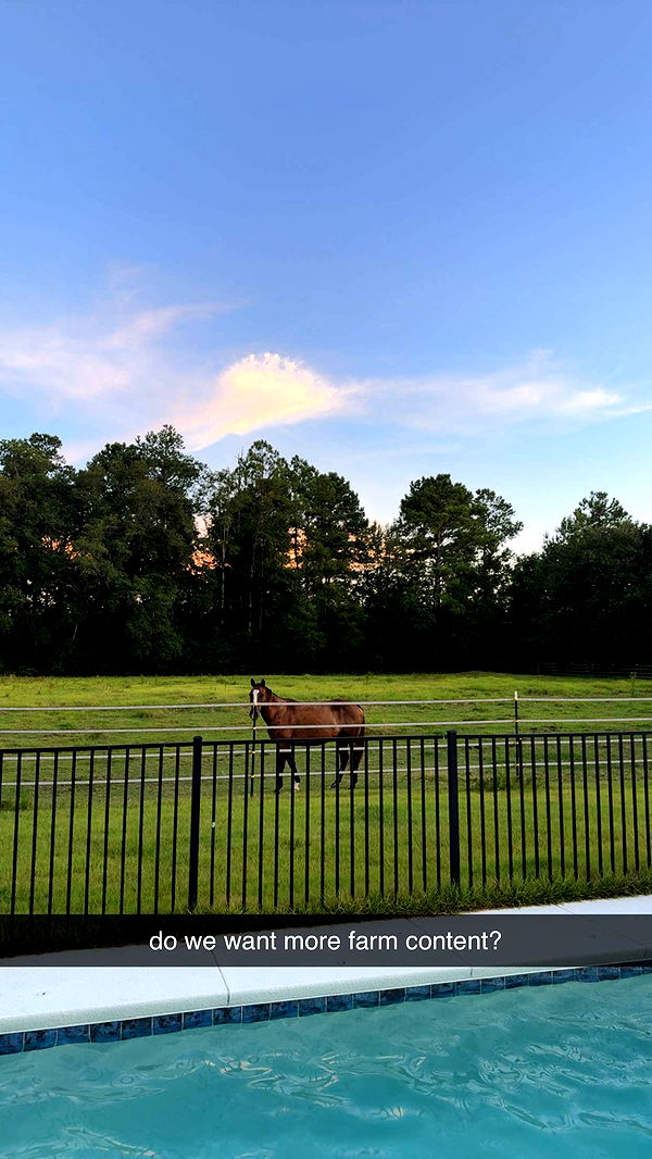 mckinley_1 image ~ Altpins