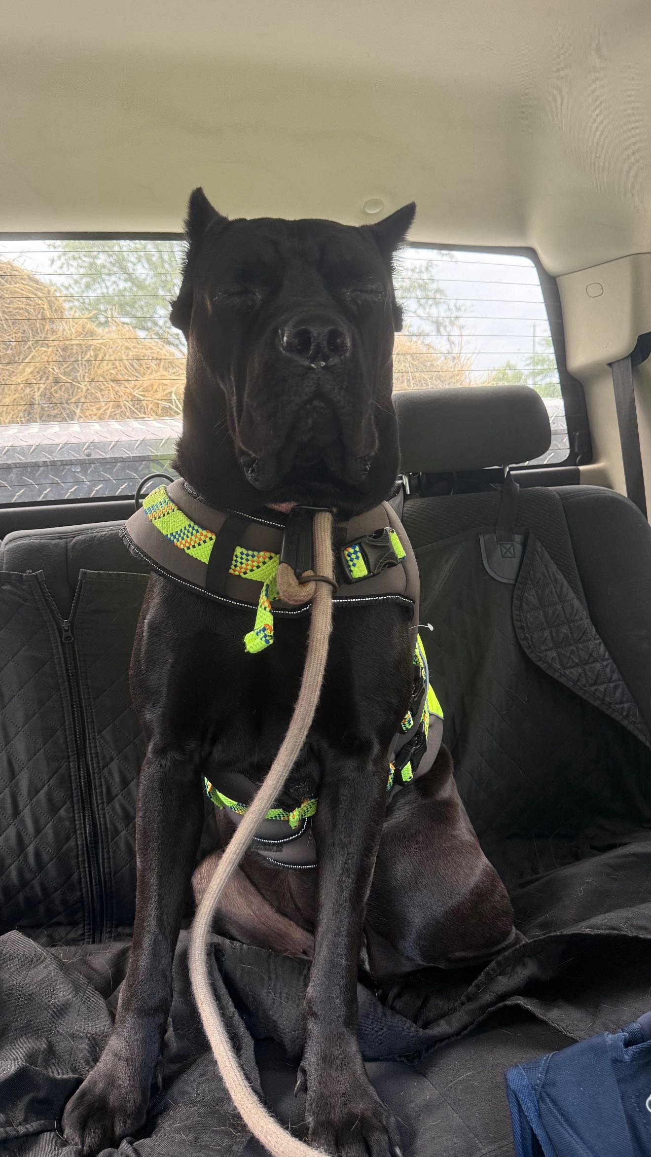 mckinley_1 snapchat image archive image