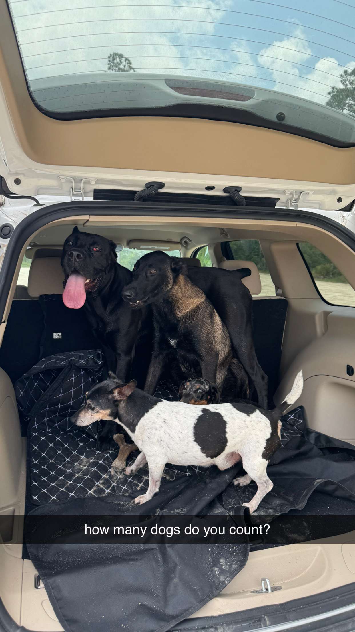 mckinley_1 snapchat image archive image