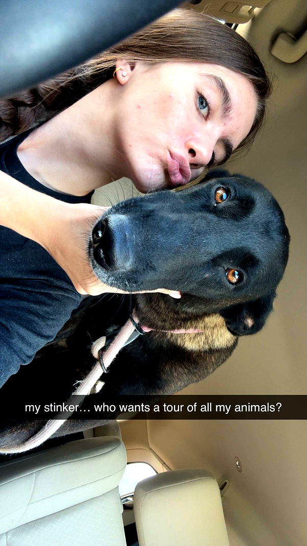 mckinley_1 image ~ Altpins