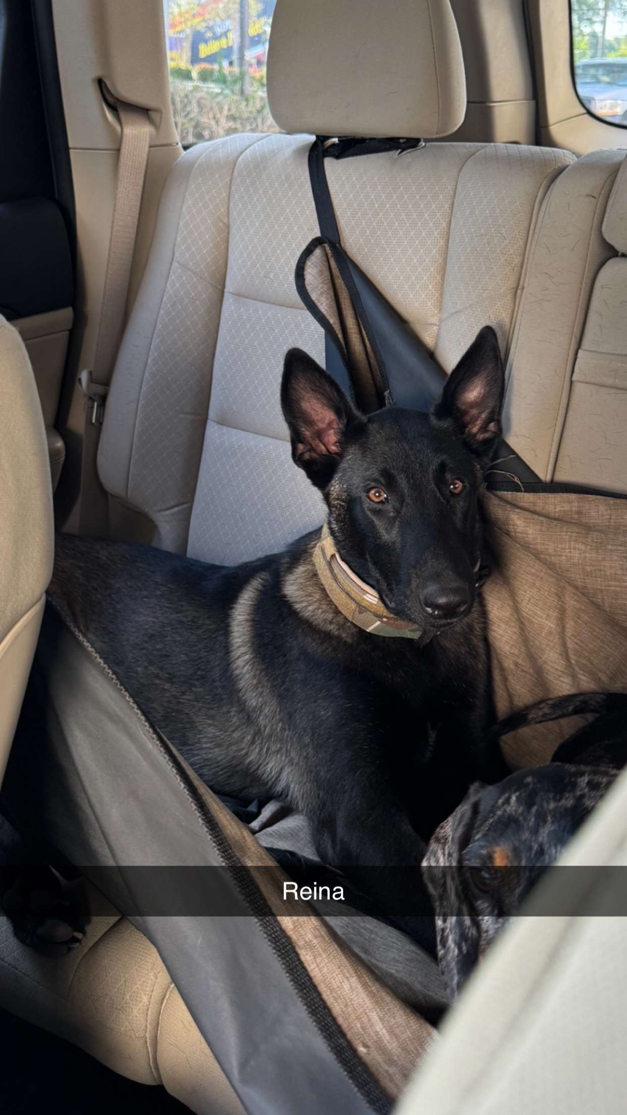 mckinley_1 snapchat image archive image