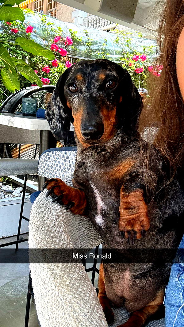 mckinley_1 image ~ Altpins