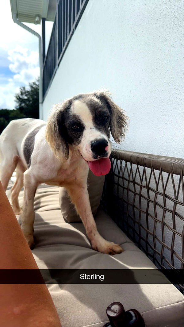 mckinley_1 image ~ Altpins