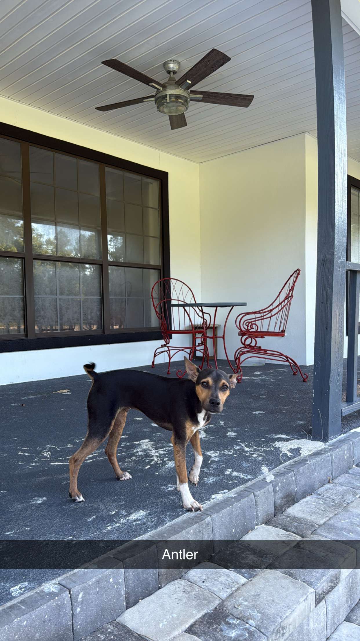 mckinley_1 snapchat image archive image