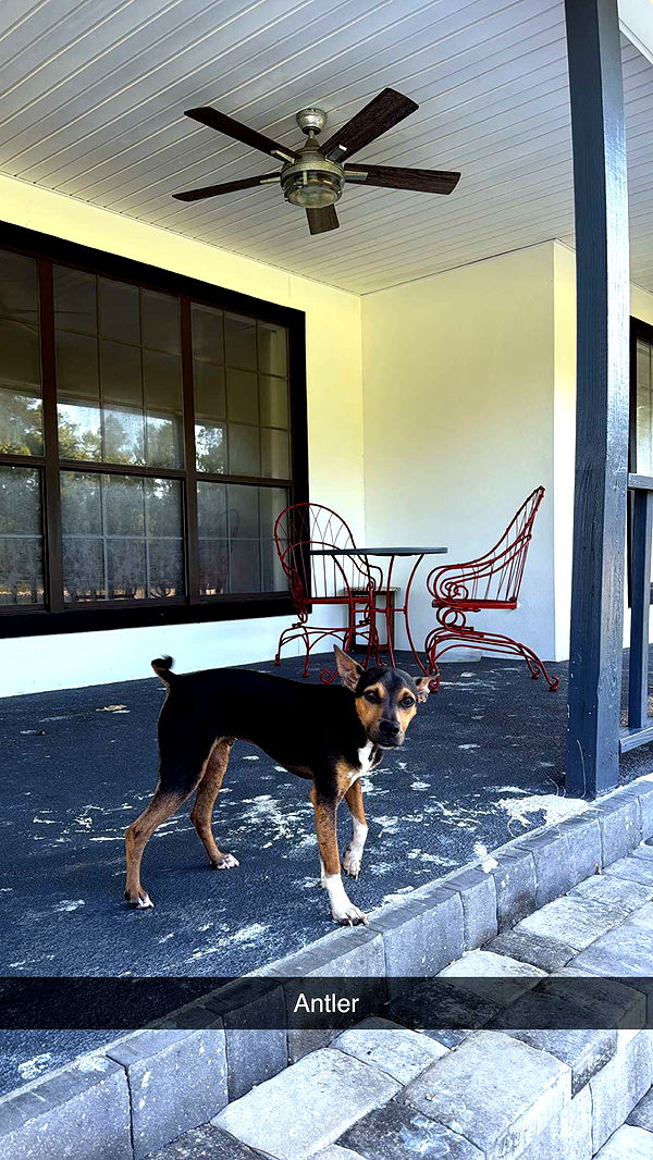 mckinley_1 image ~ Altpins