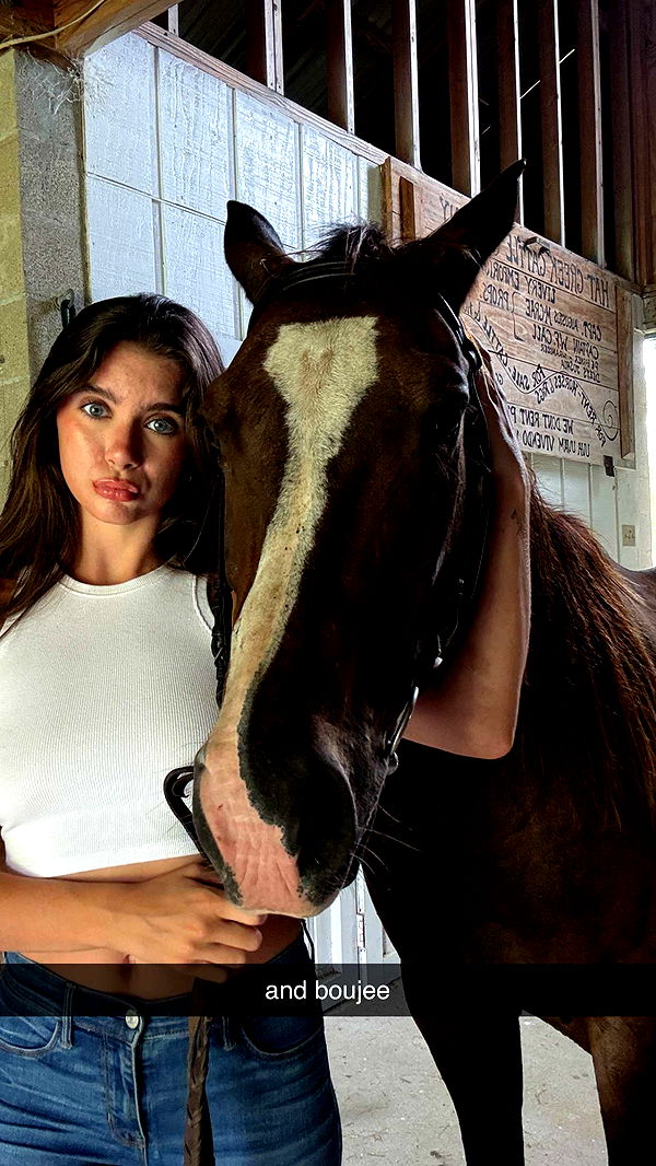 mckinley_1 image ~ Altpins