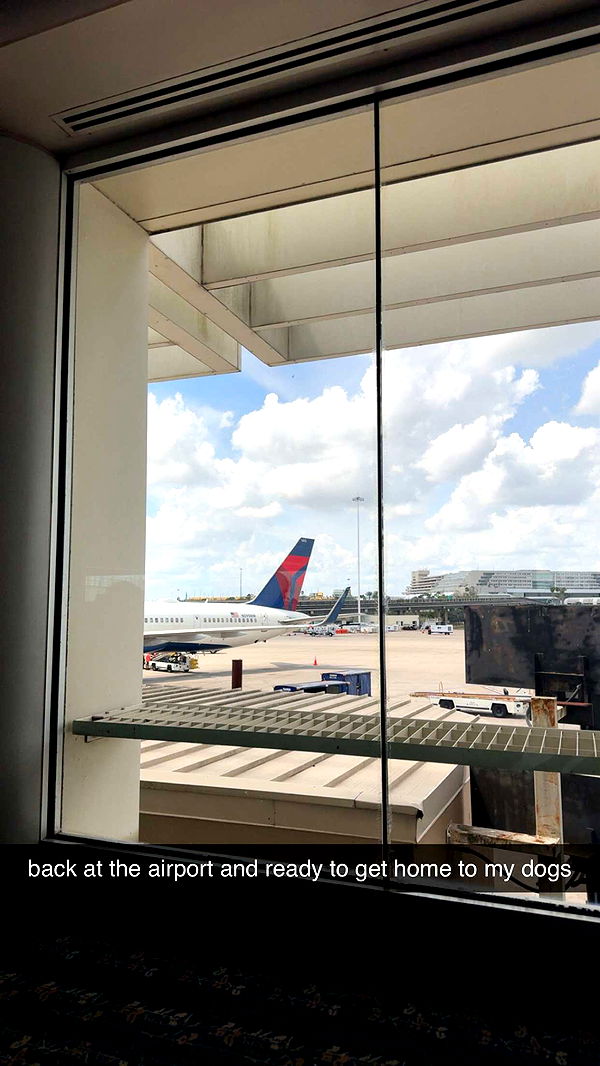 mckinley_1 image ~ Altpins