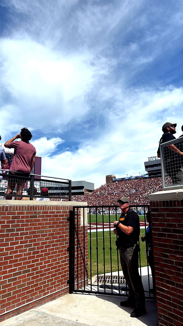 mckinley_1 image ~ Altpins