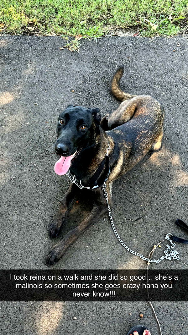 mckinley_1 image ~ Altpins