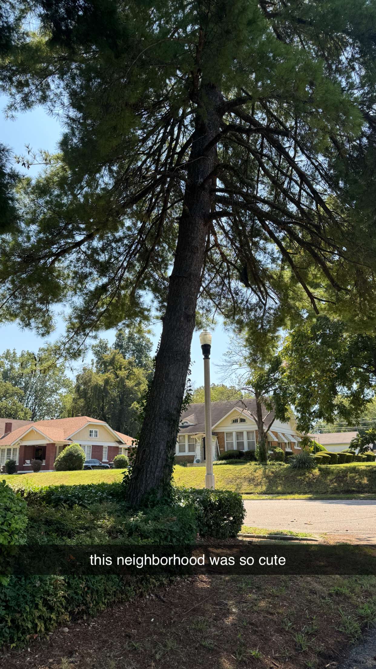 mckinley_1 snapchat image archive image