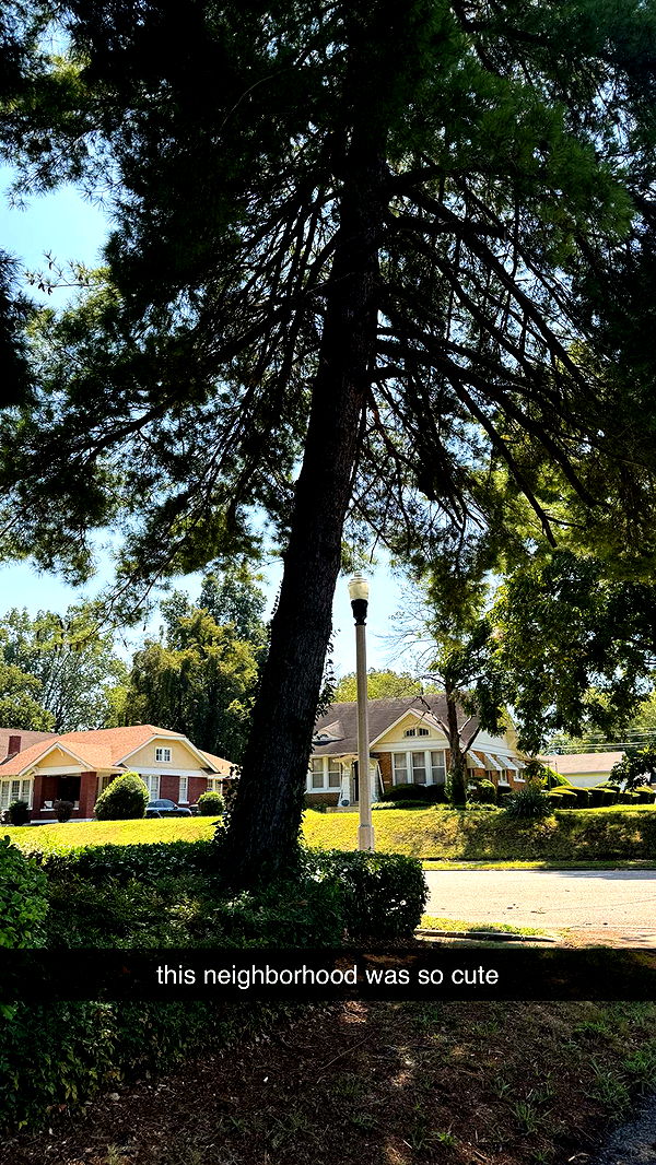 mckinley_1 image ~ Altpins