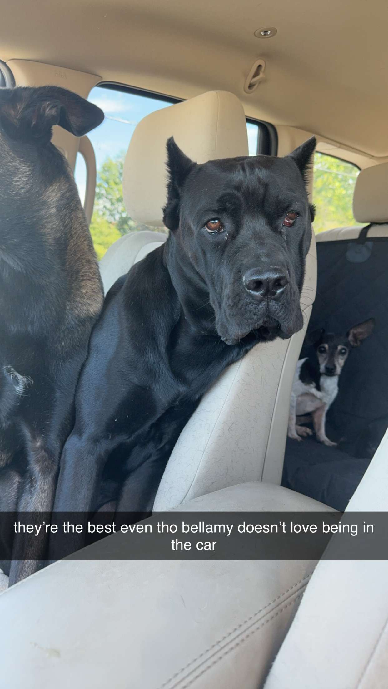 mckinley_1 snapchat image archive image