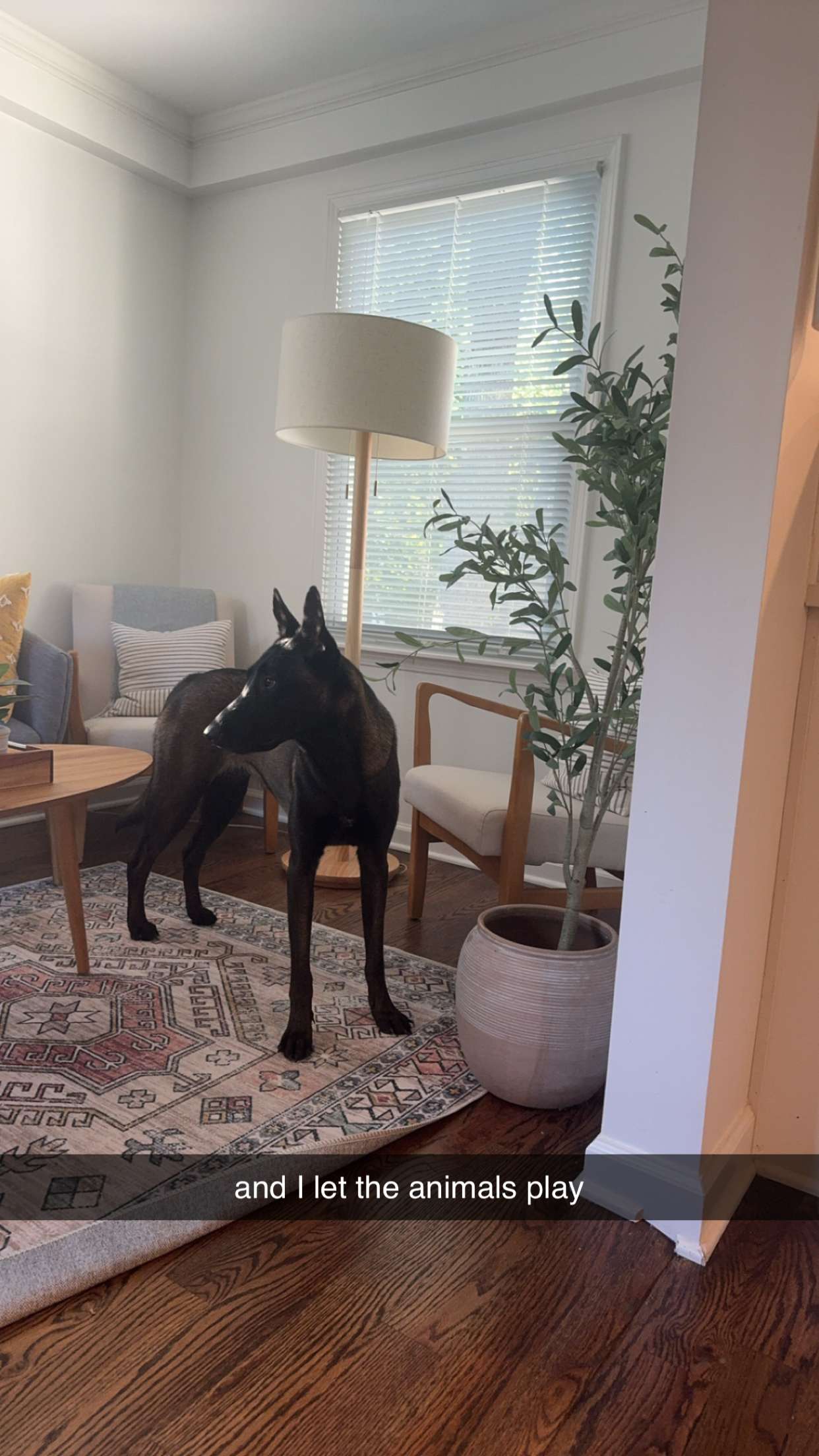 mckinley_1 snapchat image archive image