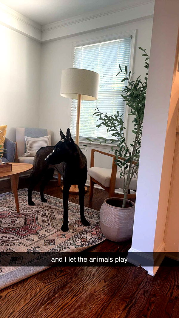 mckinley_1 image ~ Altpins