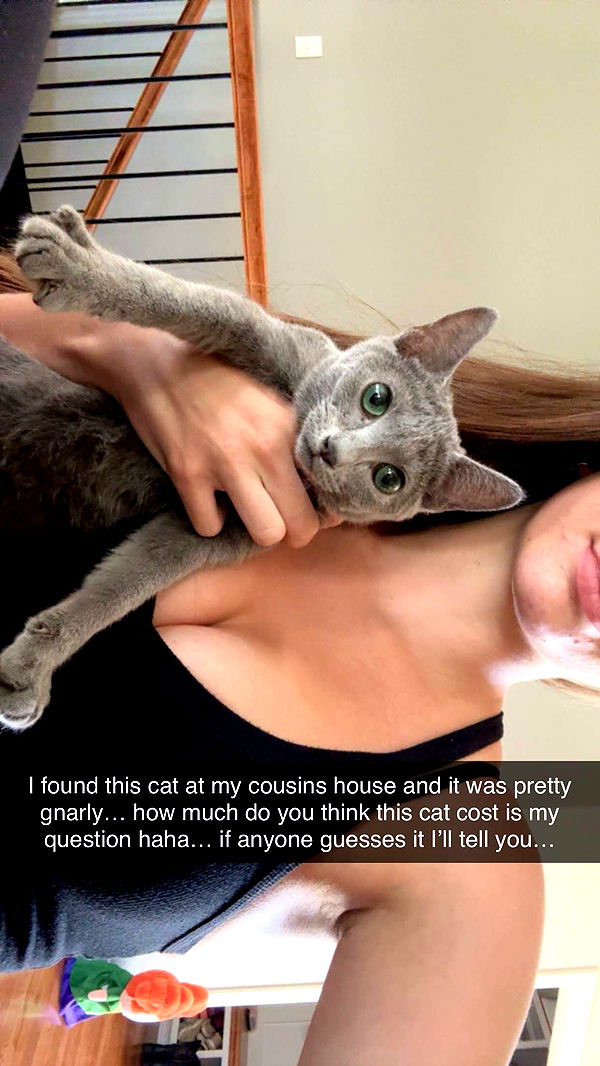 mckinley_1 image ~ Altpins