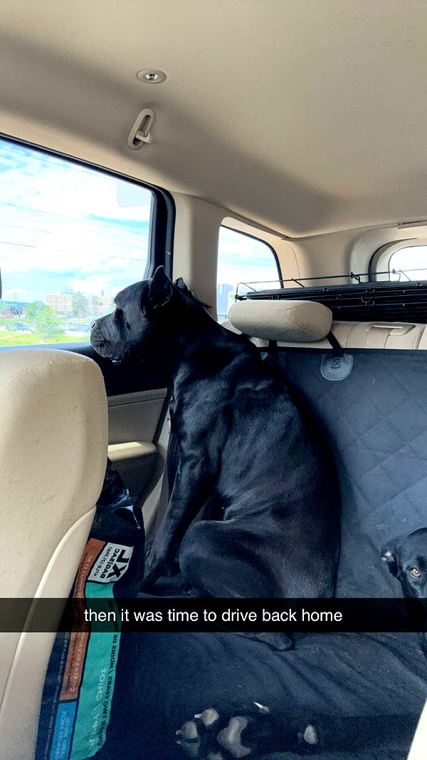 mckinley_1 image ~ Altpins