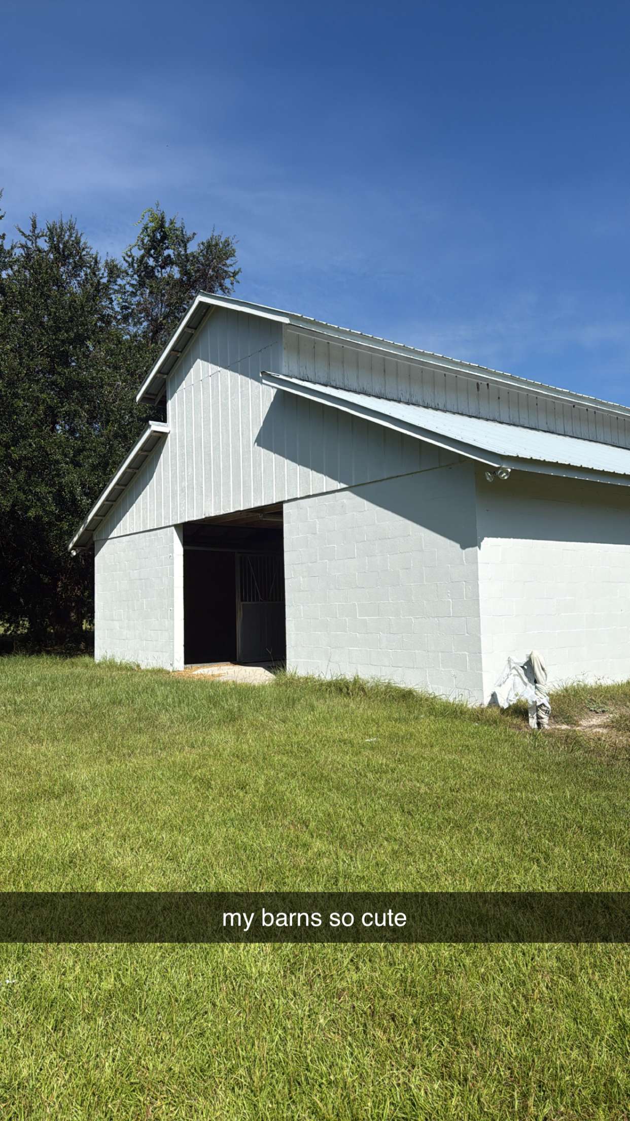 mckinley_1 snapchat image archive image