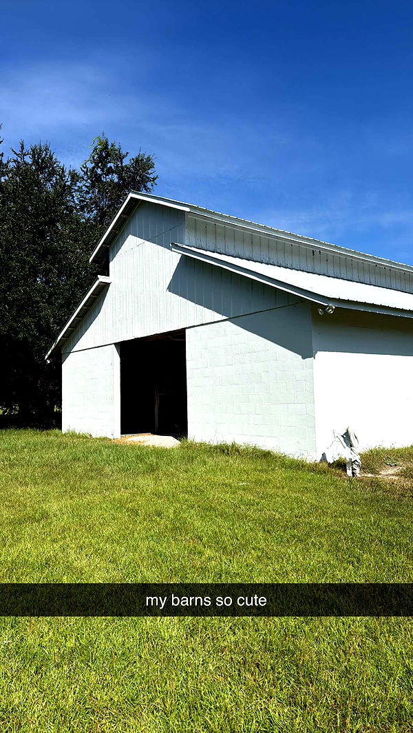 mckinley_1 image ~ Altpins