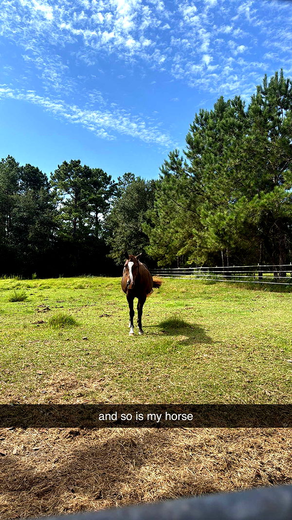 mckinley_1 image ~ Altpins