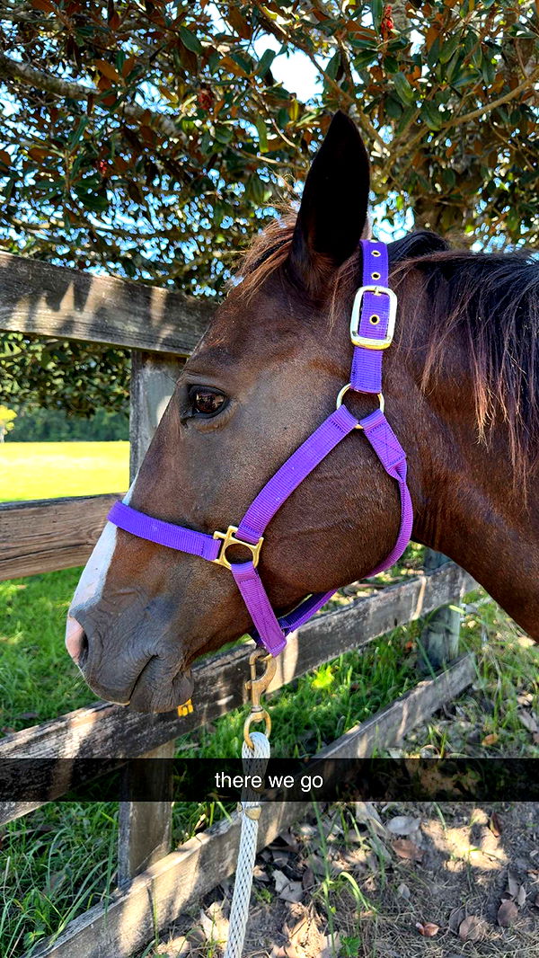 mckinley_1 image ~ Altpins