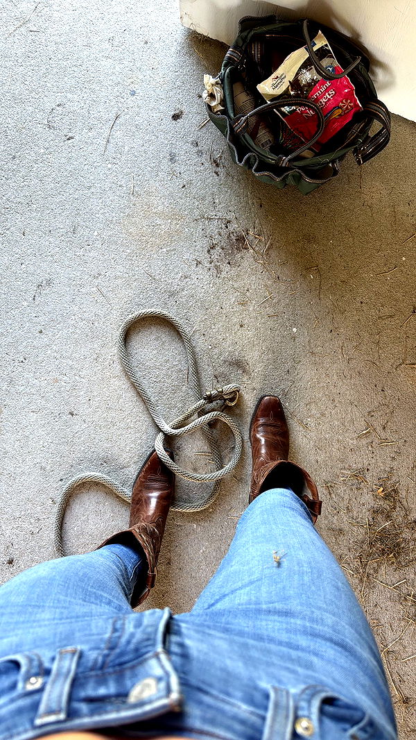 mckinley_1 image ~ Altpins