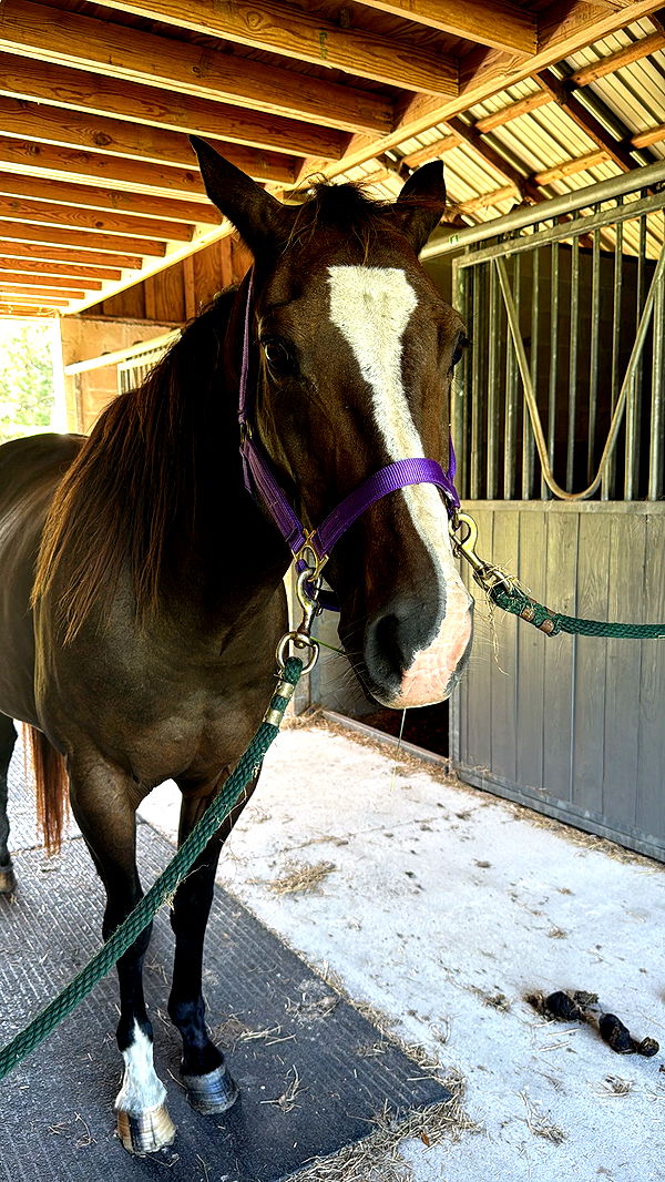 mckinley_1 image ~ Altpins