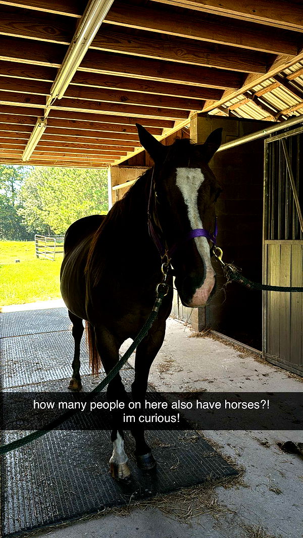 mckinley_1 image ~ Altpins