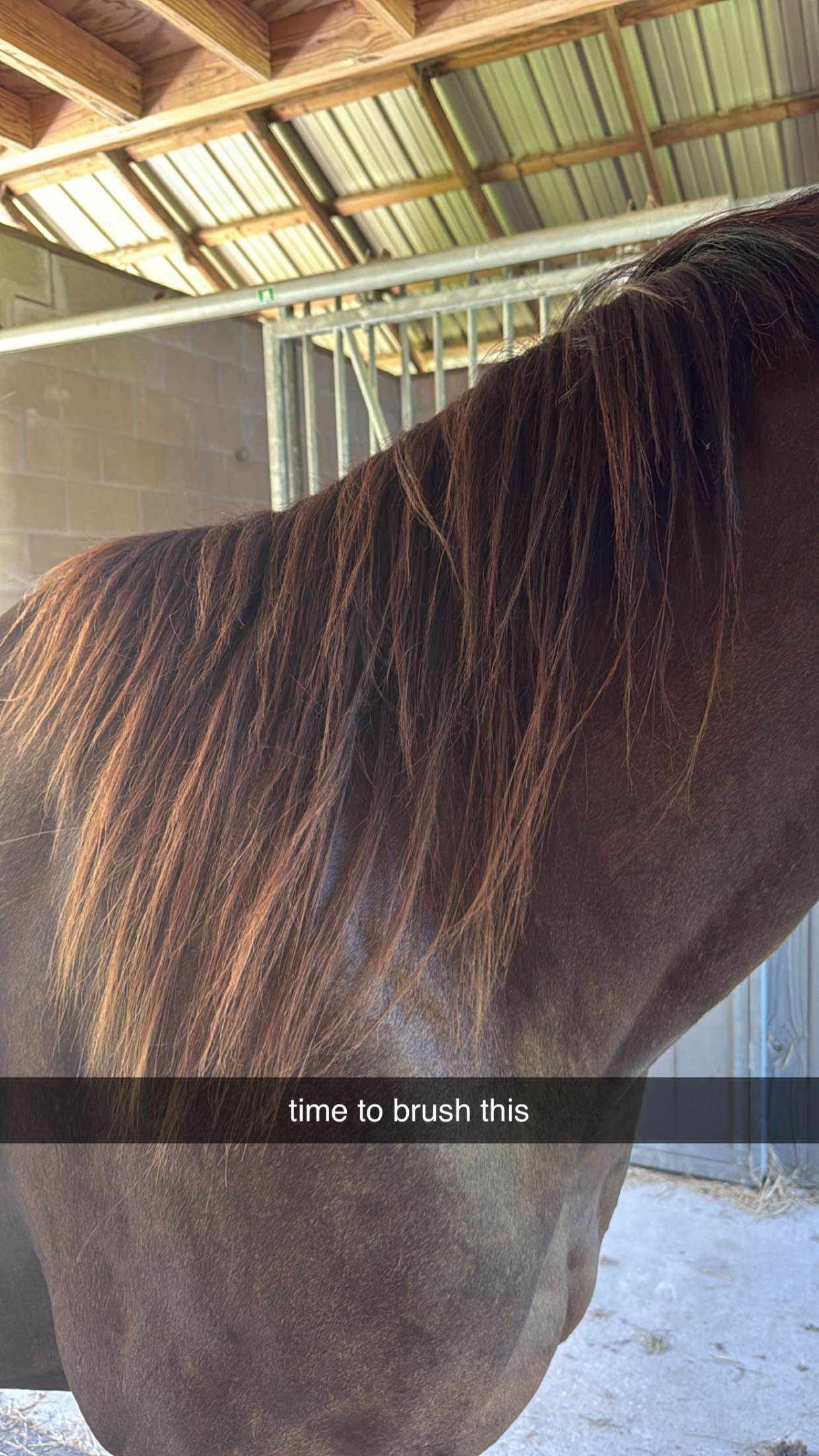 mckinley_1 snapchat image archive image