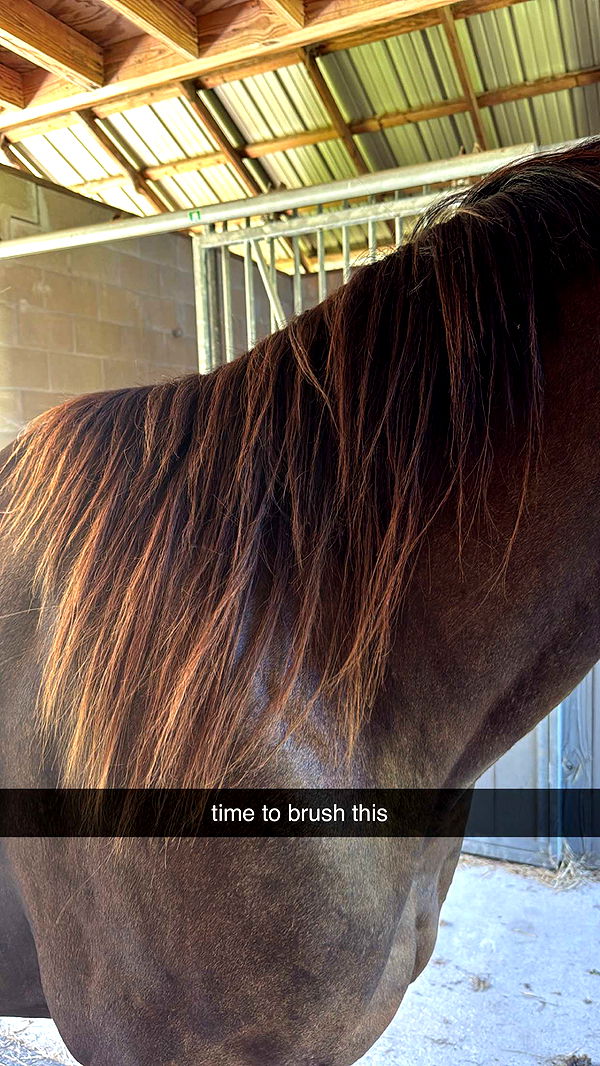 mckinley_1 image ~ Altpins