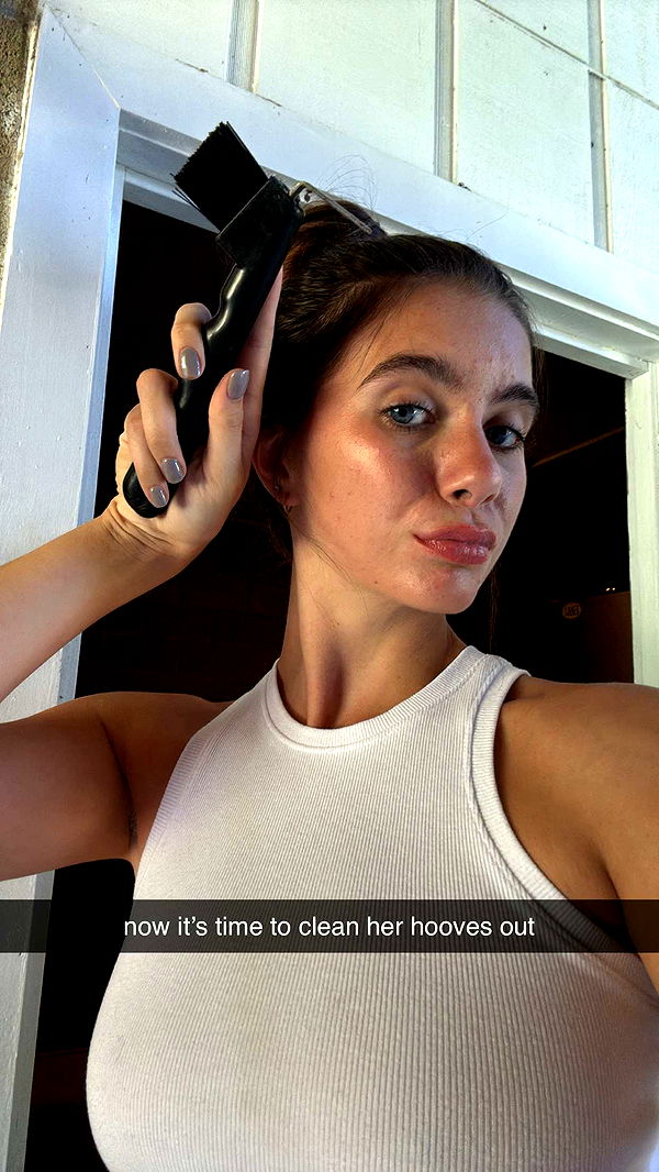 mckinley_1 image ~ Altpins