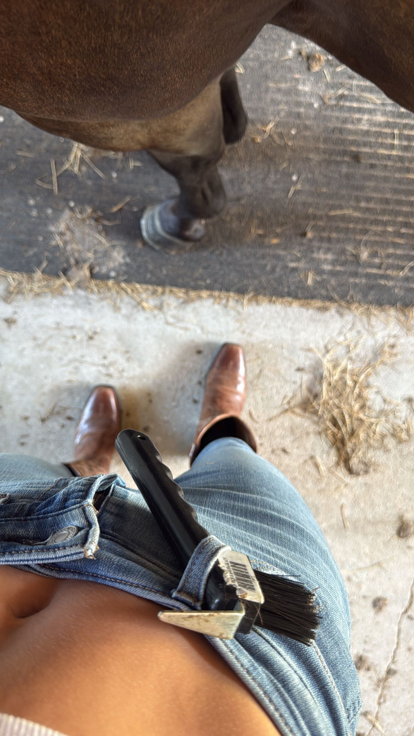 mckinley_1 snapchat image archive image