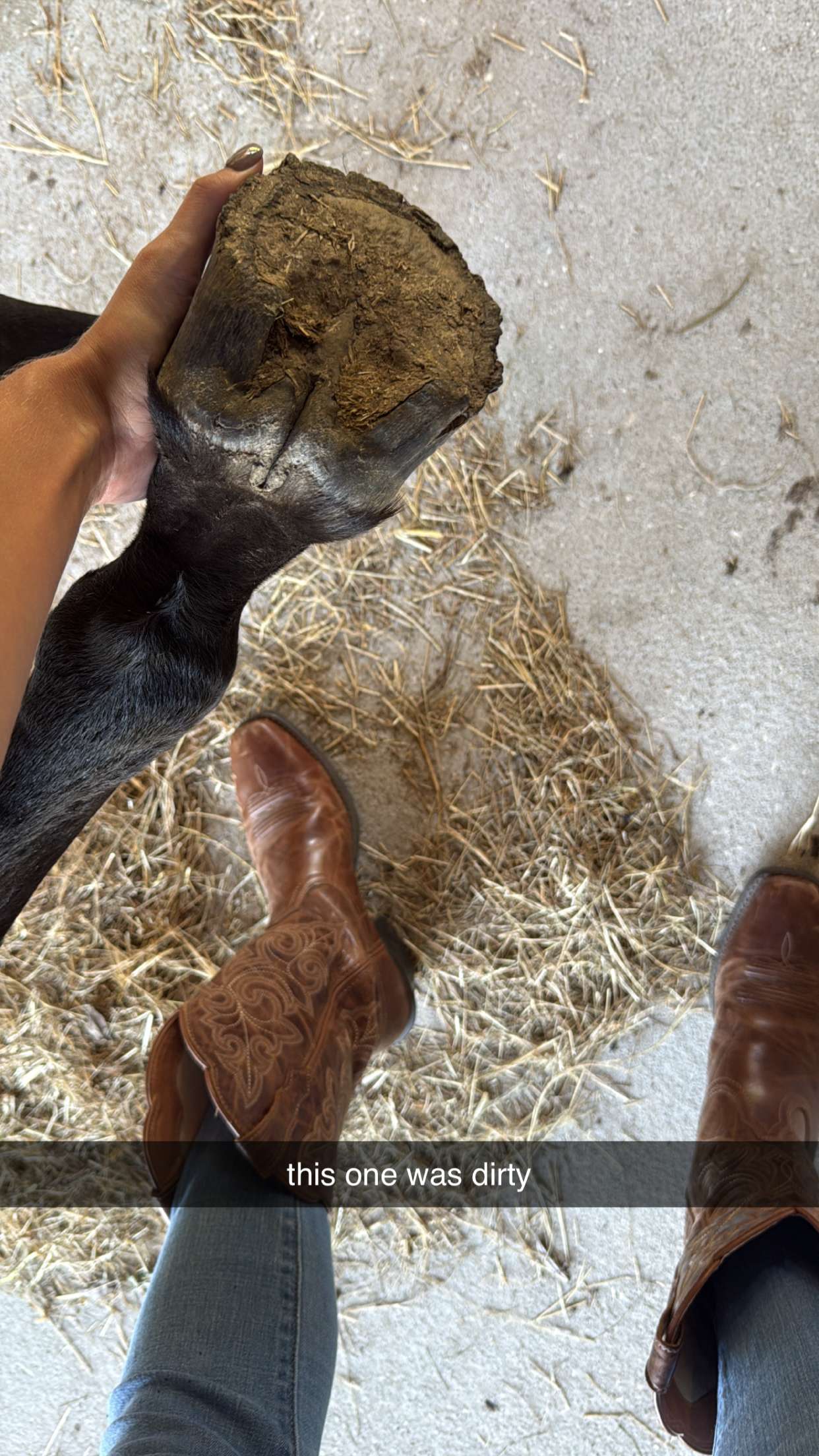 mckinley_1 snapchat image archive image