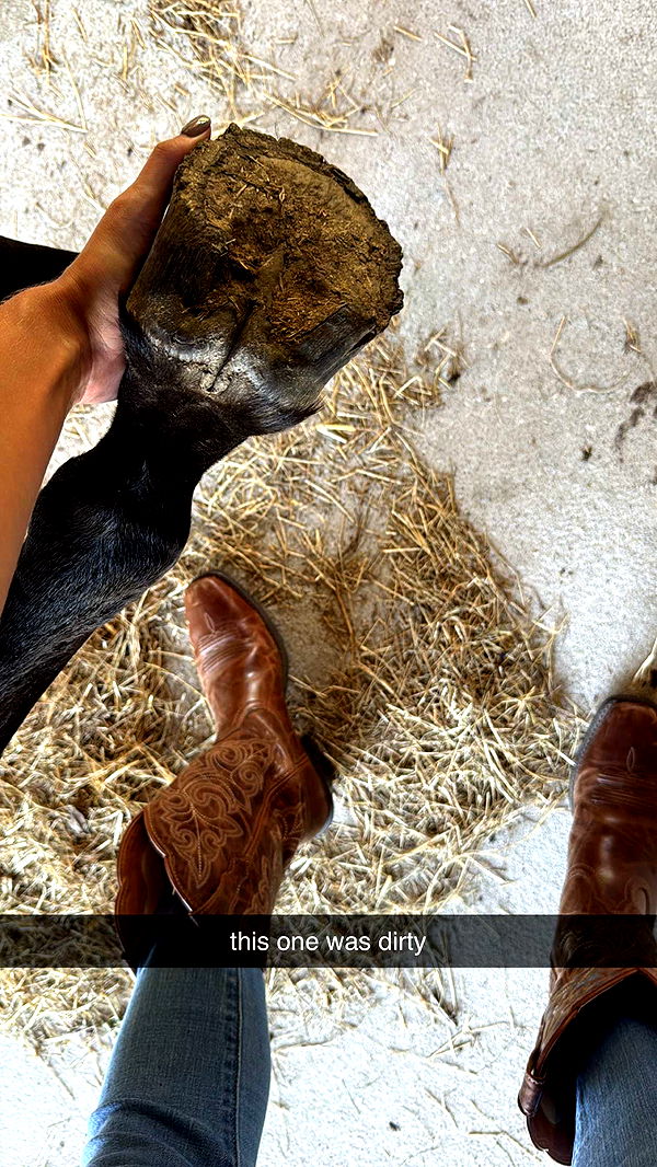 mckinley_1 image ~ Altpins