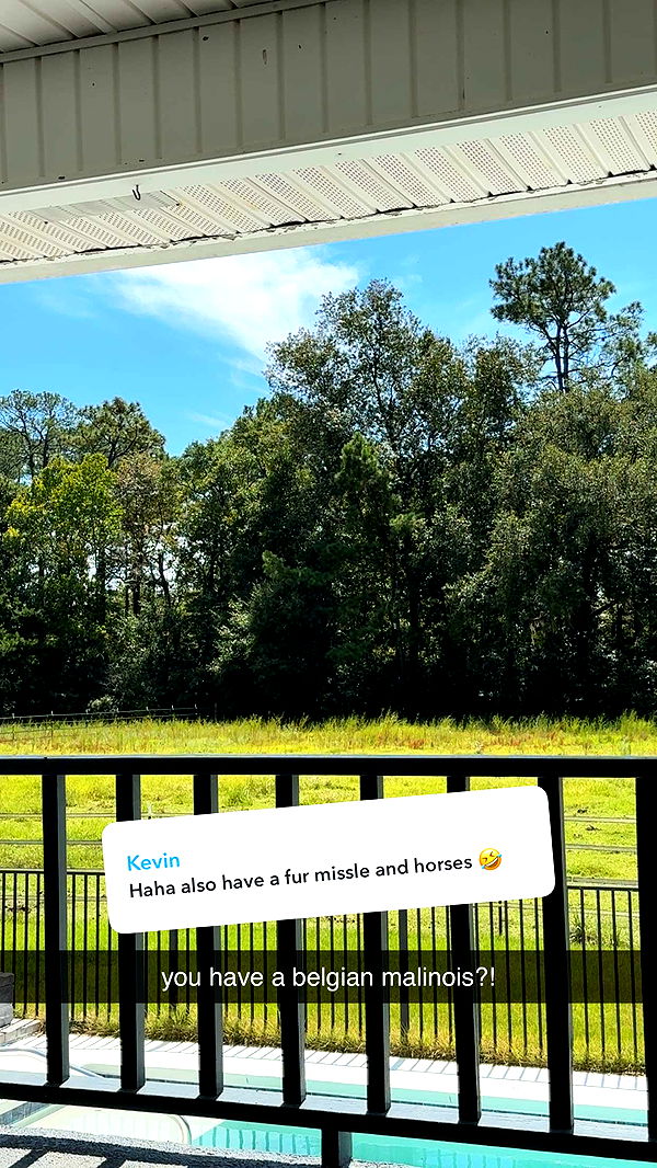 mckinley_1 image ~ Altpins