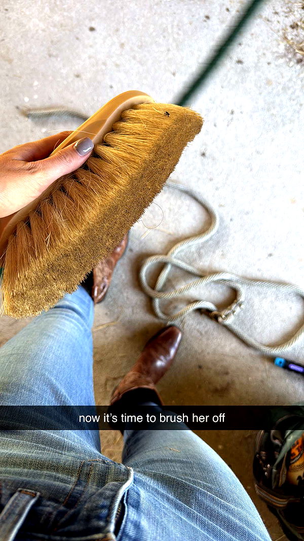 mckinley_1 image ~ Altpins