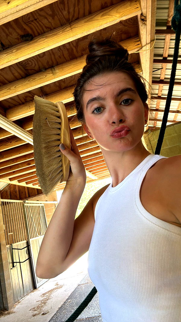 mckinley_1 image ~ Altpins