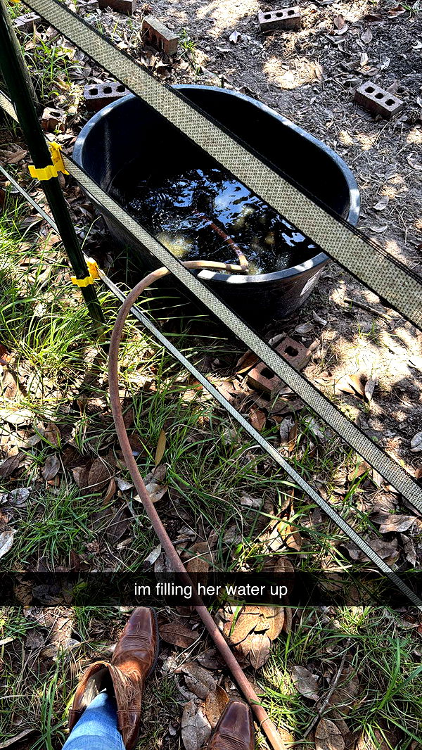 mckinley_1 image ~ Altpins