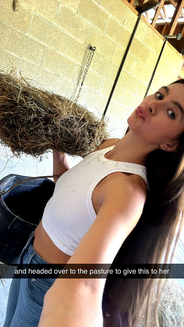 mckinley_1 image ~ Altpins