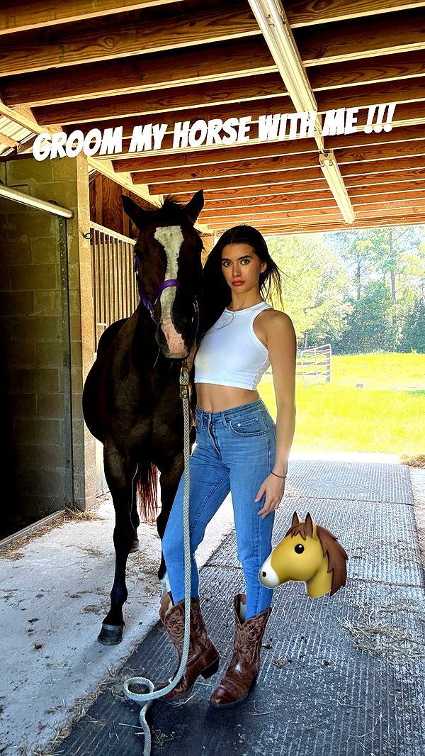 mckinley_1 image ~ Altpins