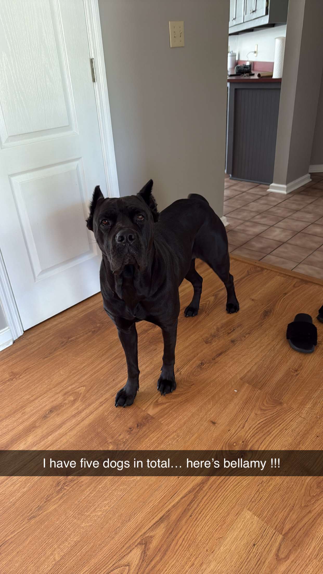 mckinley_1 snapchat image archive image