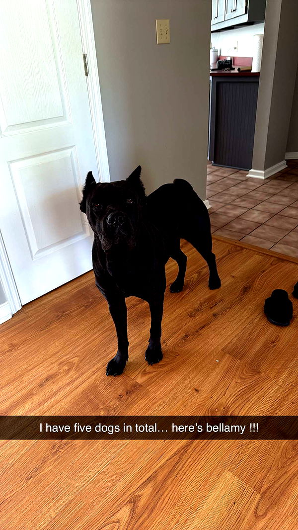 mckinley_1 image ~ Altpins