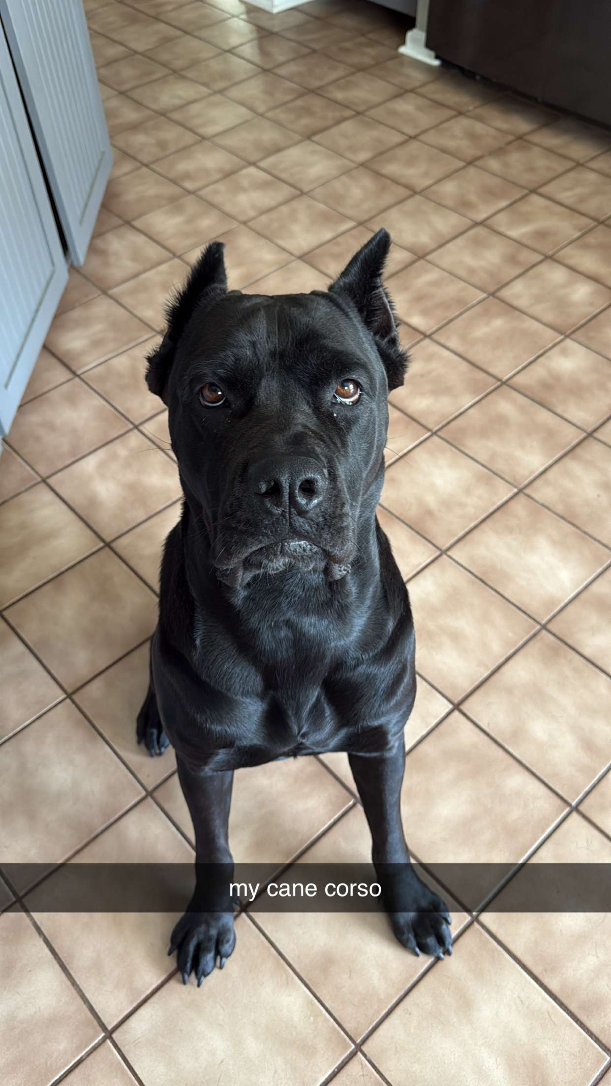 mckinley_1 snapchat image archive image