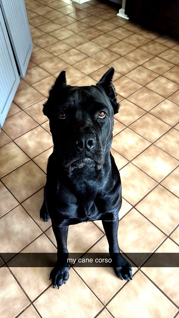 mckinley_1 image ~ Altpins