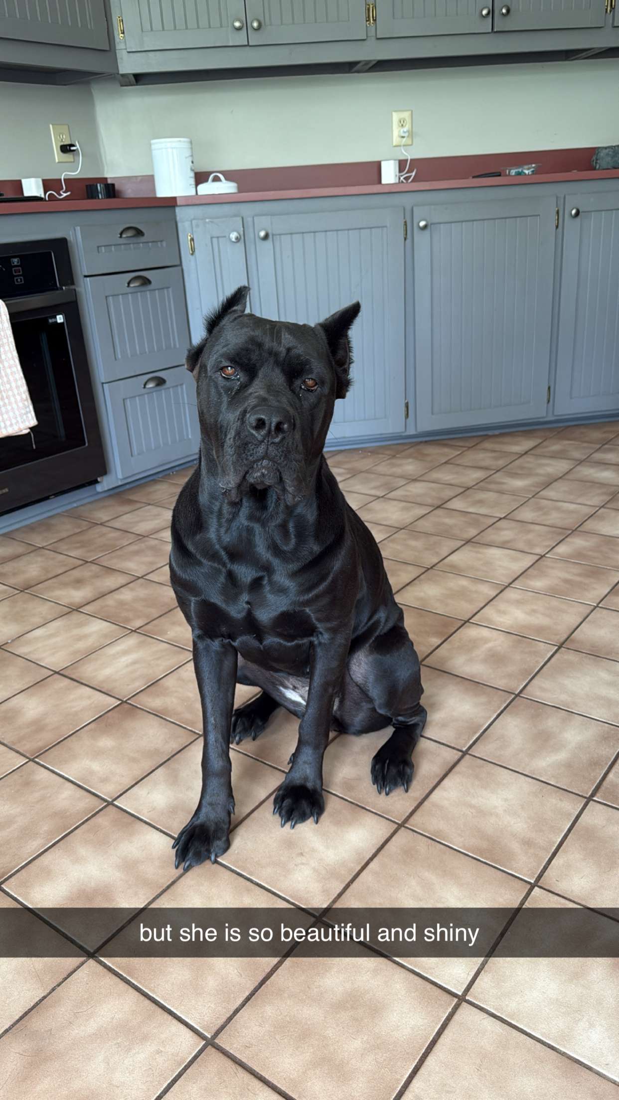 mckinley_1 snapchat image archive image