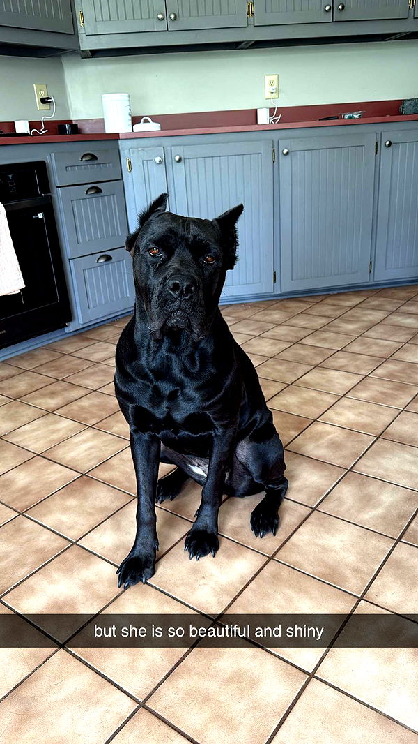 mckinley_1 image ~ Altpins